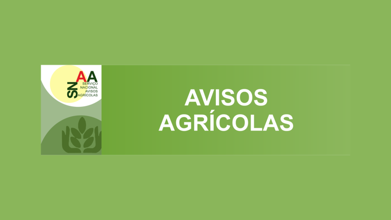 Aviso Agrícola nº 15 – 13 de Novembro de 2025
